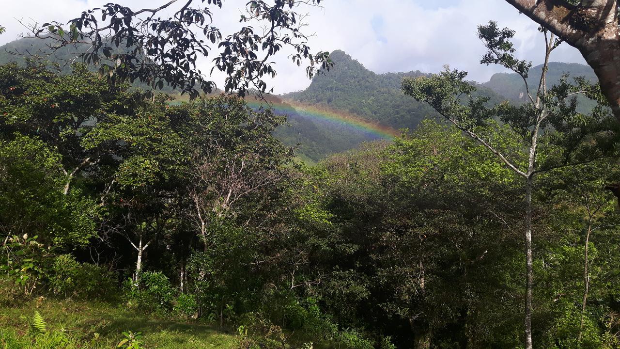 Rainforest Yasmin Hotel Santa Fé Esterno foto